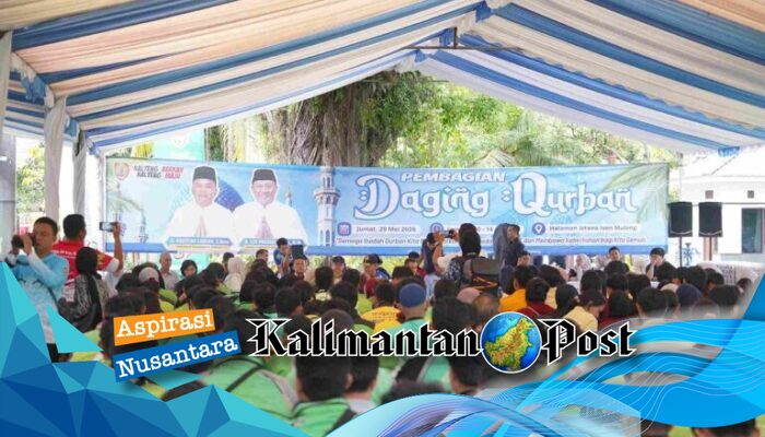 Idul Adha 1447 H di Kalteng, Gubernur Agustiar Sabran Sumbang 3 Sapi Limosin untuk Ojol dan Mahasiswa