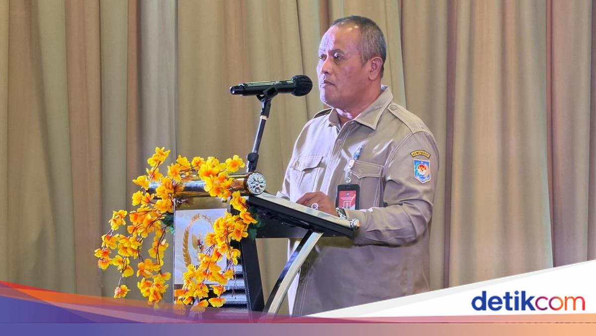 Sumsel Didorong Jadi Percontohan Obligasi Daerah, Ini 4 Syarat Ketat dari Kemendagri
