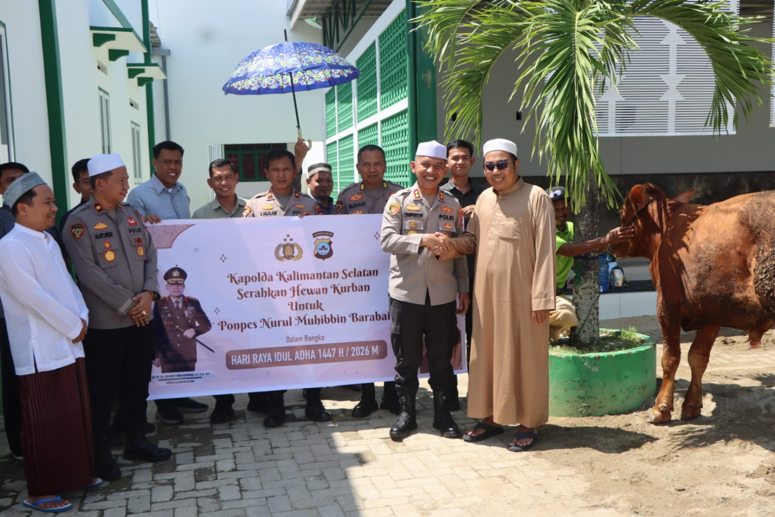Sambut Idul Adha 1447 H, Polres HST Salurkan Sapi Kurban Bantuan Kapolda Kalsel ke Ponpes Nurul Muhibbin