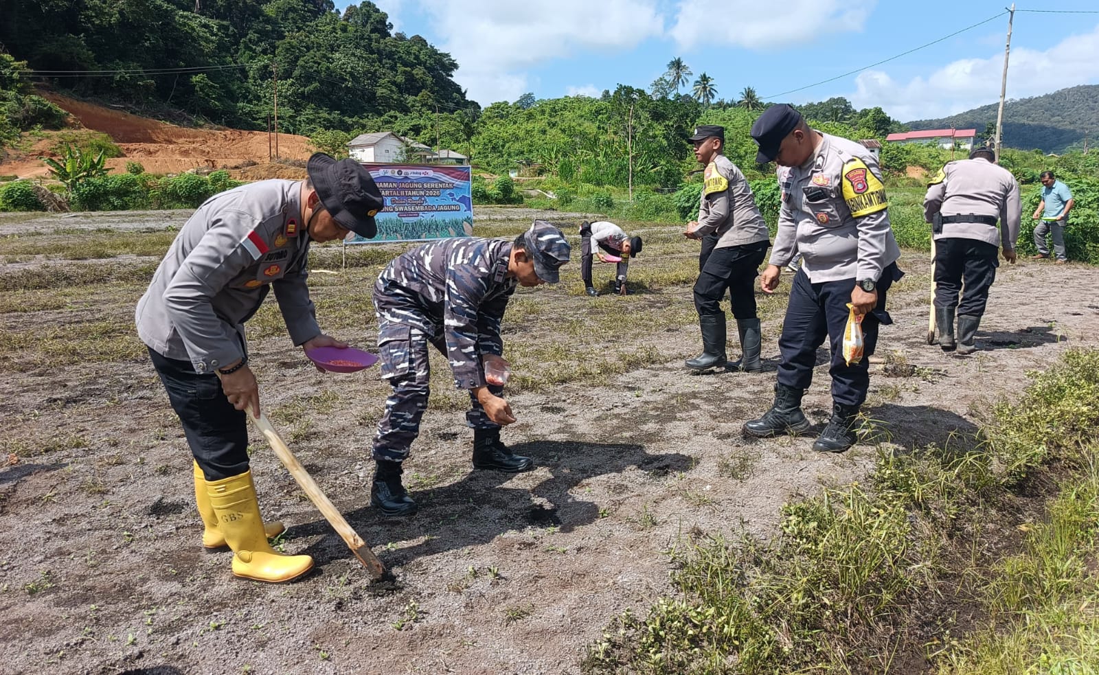 Polsek Jemaja Tanam Jagung di Lahan 5.000 Meter Persegi, Kapolsek Sutomo Buka Suara soal Kendala Air dan Pemasaran di Anambas
