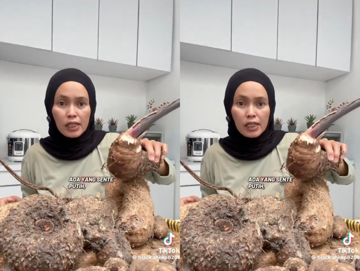 Kreator Bantul @black.sheep8208 di Balik Viral Kimpul, 71 Ribu Pengikut TikTok dan Menu Modern dari Pangan Lokal