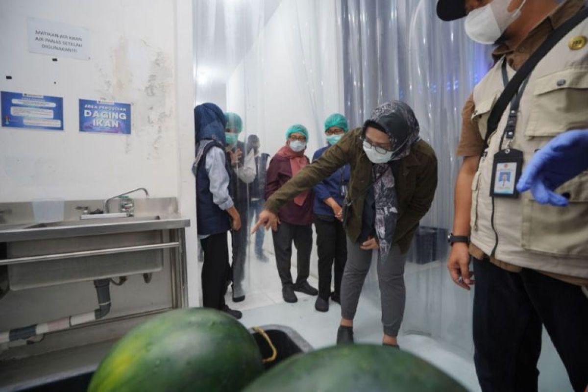 Pemprov DIY Sidak 4 SPPG di Kota Yogyakarta, Pastikan Higienitas Pengolahan MBG Sebelum Distribusi ke Siswa