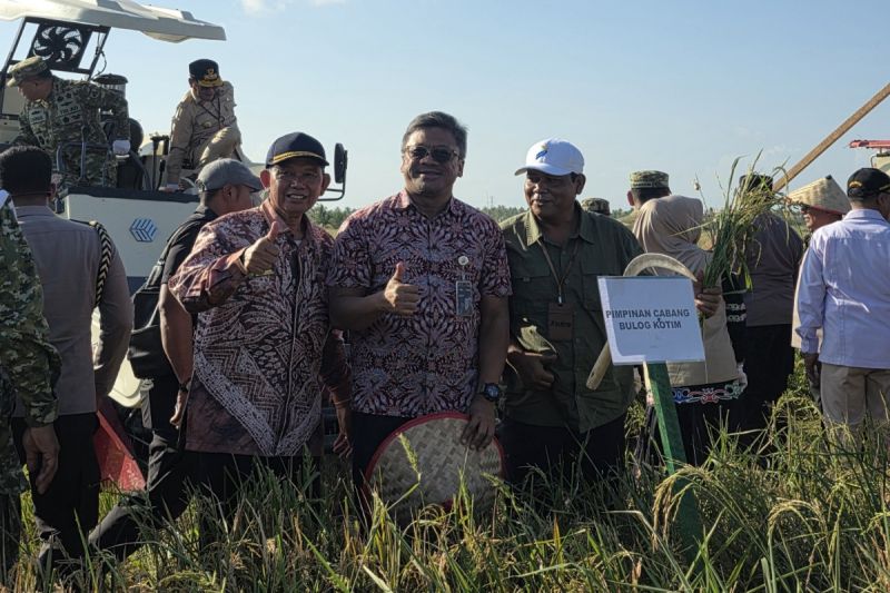 Bulog Kalteng Genjot Serapan Gabah Petani Saat Panen, Baru Terealisasi 58 Persen dari Target 15.805 Ton Beras