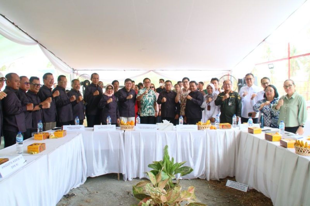Komisi IV DPR Dorong Perbaikan Kualitas Bibit Babi di Sulut, Minta Biosekuriti Diperketat Cegah ASF