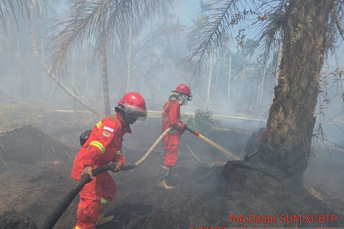 Karhutla Gambut di Tanjab Barat Meluas Jadi 2,5 Hektare, Tim Gabungan Andalkan Kanal Dangkal