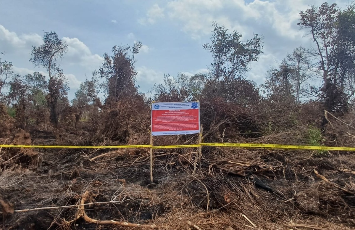 Karhutla 454 Hektare di Konsesi PT Bintang Harapan Palma OKI, KLH Segel Lokasi dan Pasang Garis Pengawasan