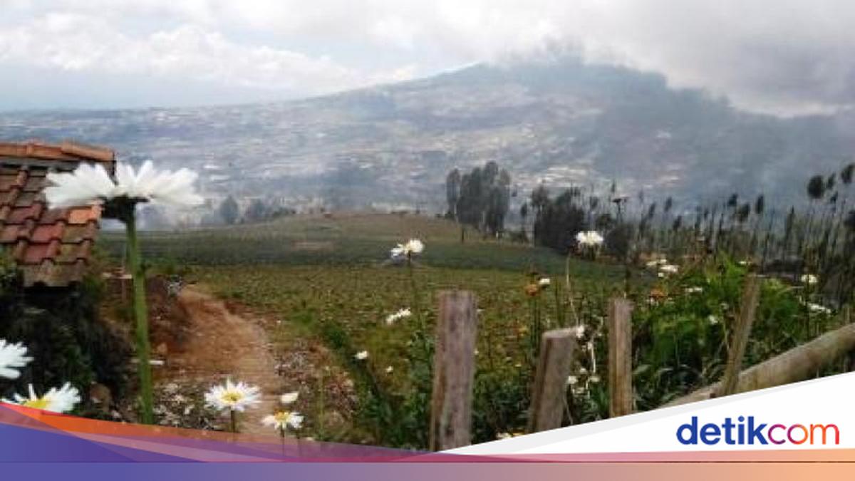 7 Destinasi Pegunungan Sejuk di Jawa Tengah Selain Dieng, dari Posong hingga Nepal Van Java