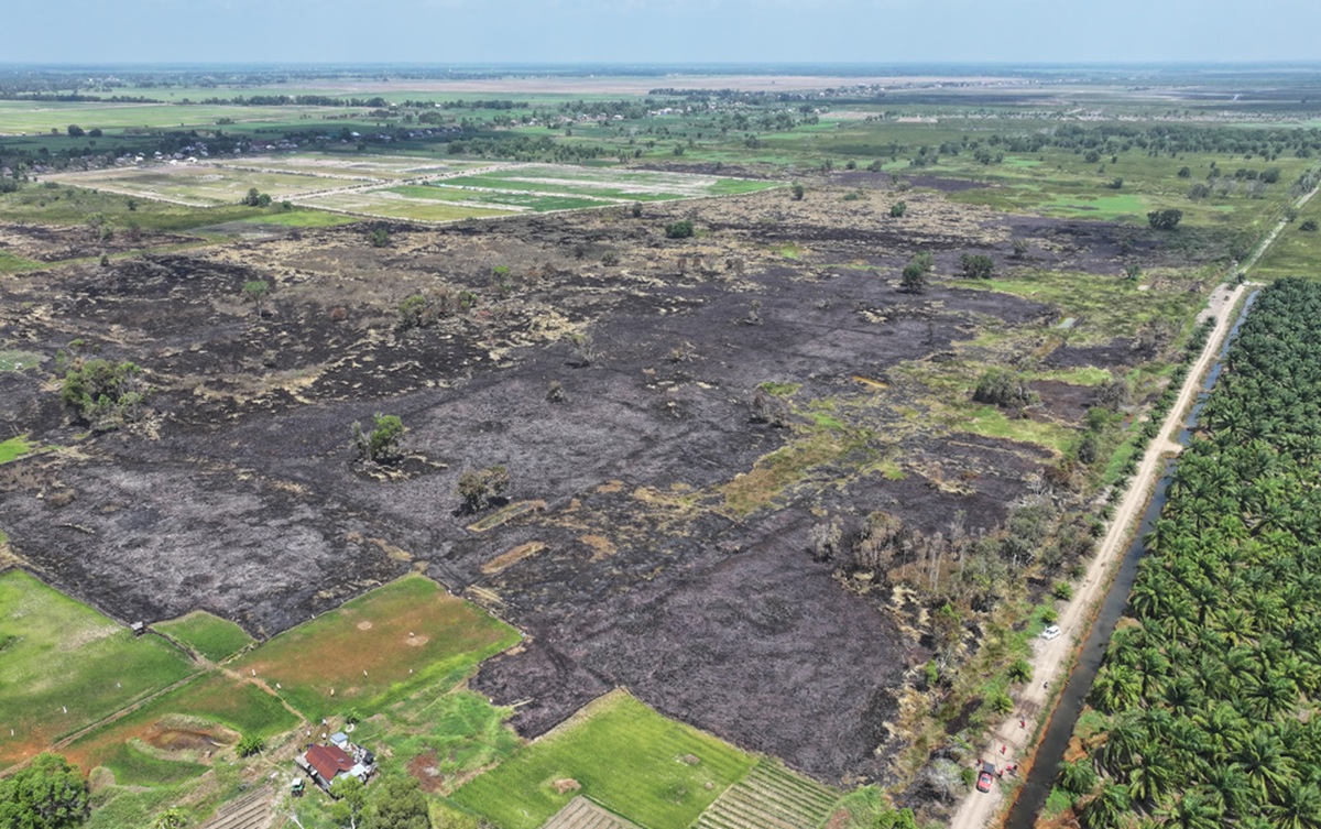Karhutla Sumsel Tembus 781 Kejadian hingga Awal Agustus, 664 Hektare Lahan Hangus dan 5.334 Titik Panas Terdeteksi