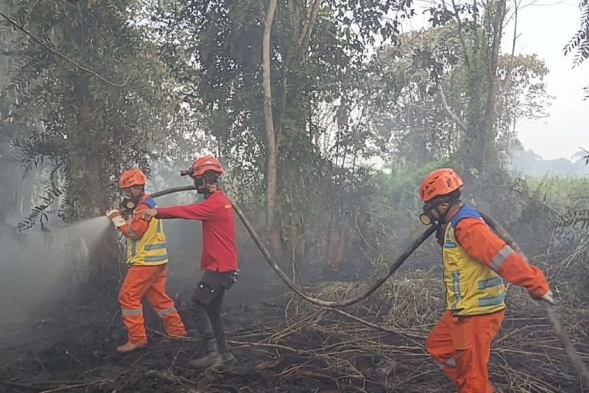 Hadapi Kemarau Ekstrem, Kementerian PU Kerahkan Bantuan Air dan Alat Pemadam Karhutla di Tiga Wilayah, Waspadai Ancaman di Aceh