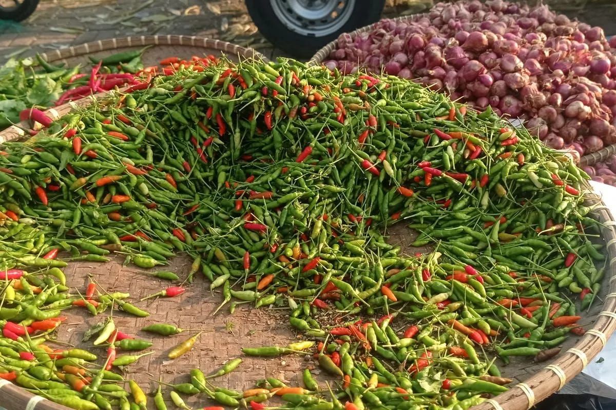 Harga Cabai dan Bawang di Pasar Lebak Turun Saat Musim Panen, Stok Melimpah
