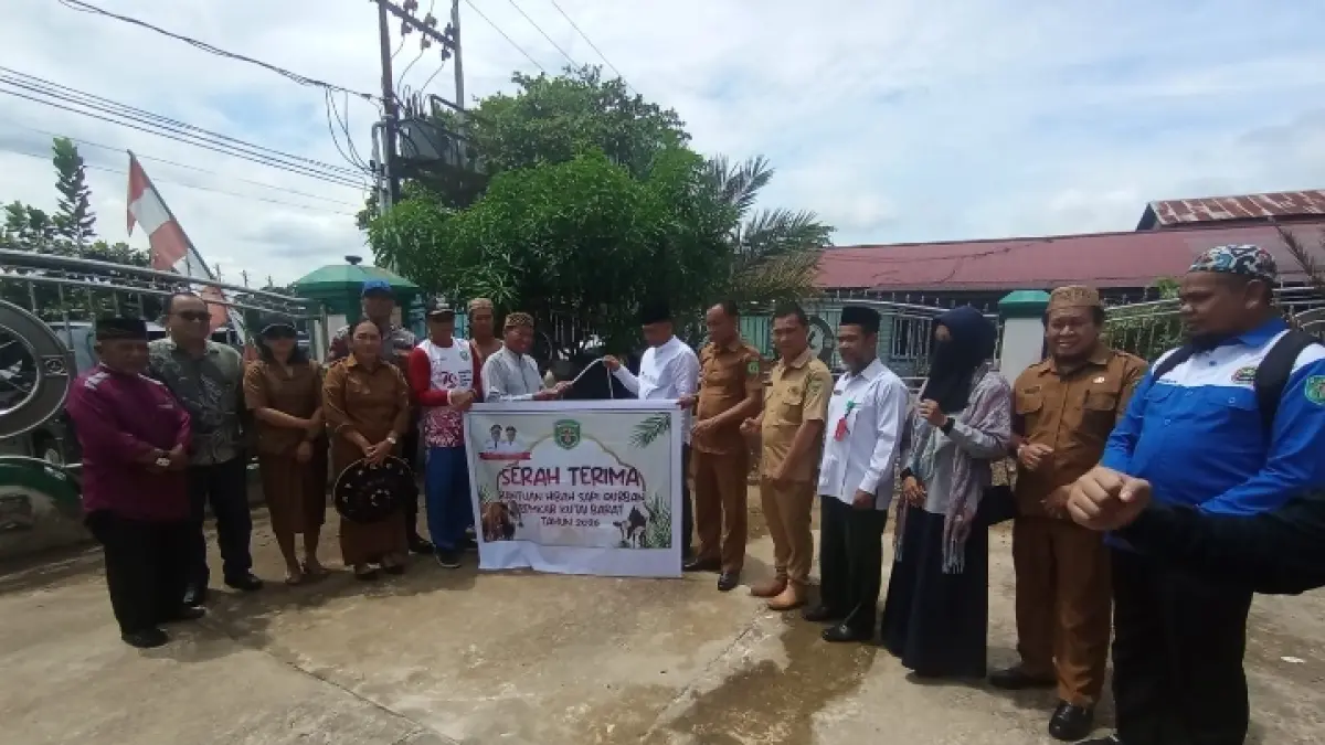 Jelang Iduladha, Pemkab Kubar Salurkan 77 Ekor Sapi Kurban ke 16 Kecamatan, Termasuk 1 Bantuan Presiden