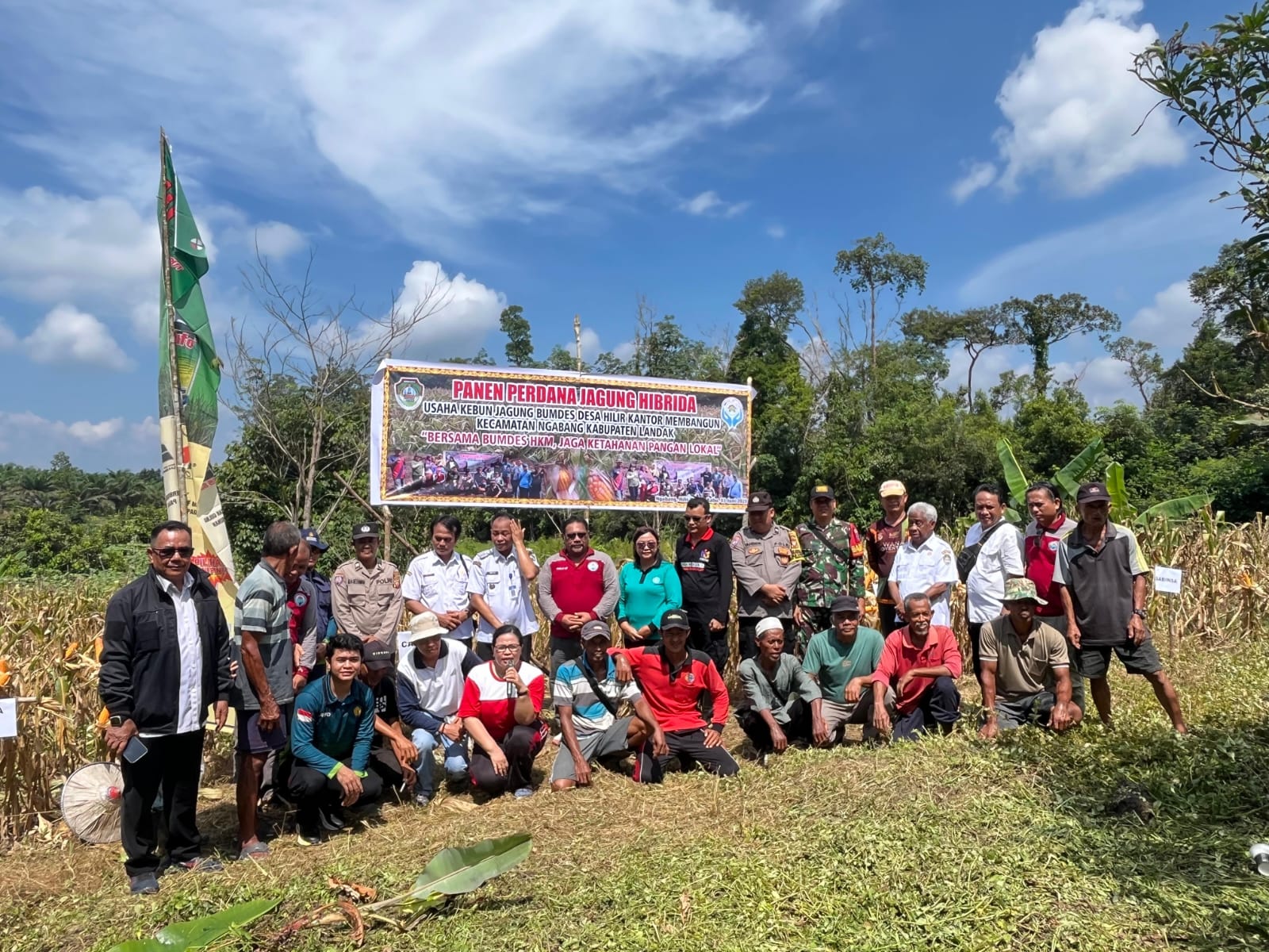 BUMDes Desa Hilir Kantor di Landak Panen 3 Ton Jagung Hibrida, Bukti Ketahanan Pangan Berjalan