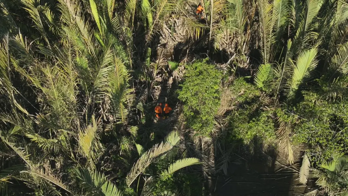 Tim SAR Perluas Area Pencarian Herman di Hutan Nipa Karang Anyar, Hari Ketiga Tak Juga Ditemukan