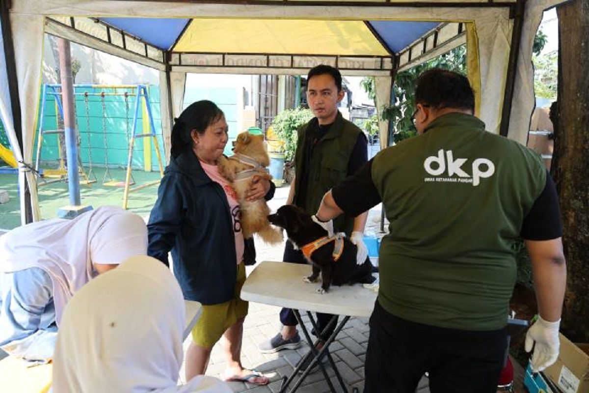 DKP Kota Tangerang Gelar 8 Kali Vaksinasi Rabies Gratis Sepanjang Agustus, 50 Ekor per Lokasi