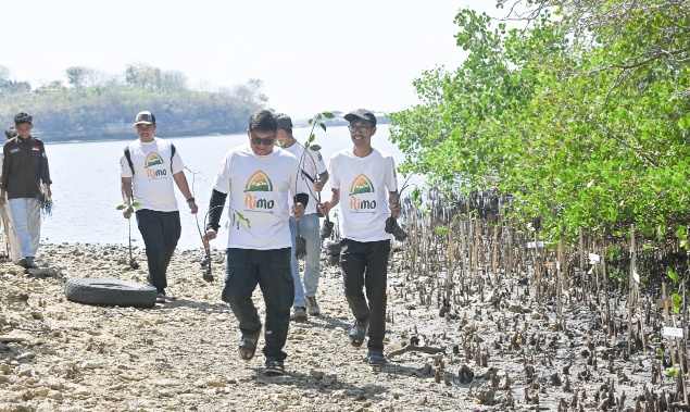 Bank NTB Syariah Tanam 62 Bibit Mangrove di Ekowisata Paremas Lombok Timur, Peringati HUT ke-62