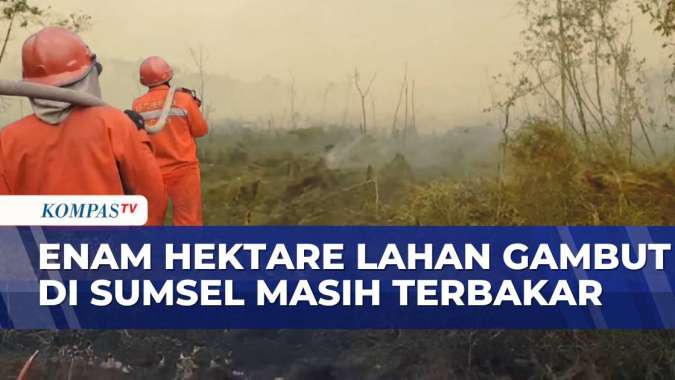 Kebakaran Lahan Gambut di OKI Capai Enam Hektare, Water Bombing Dikerahkan dan Tiga Regu Tambahan Disiagakan