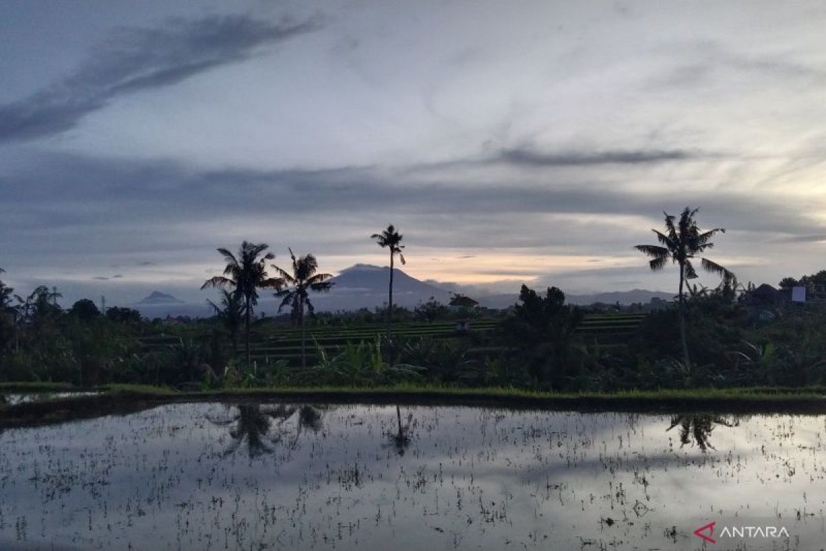 BMKG Prakirakan Cuaca Denpasar Cerah Berawan pada Kamis, Waspadai Hujan Lebat di Wilayah Lain
