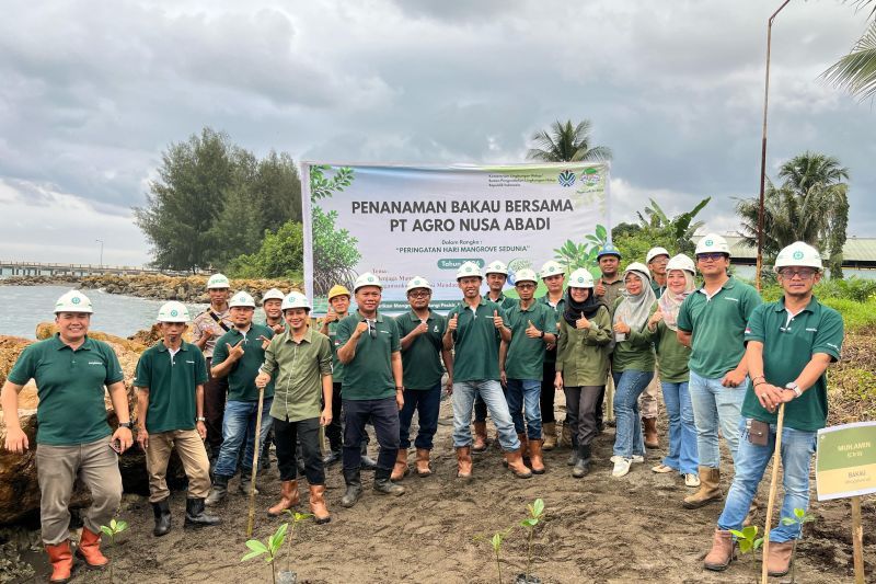 PT Agro Nusa Abadi Tanam 100 Mangrove di Pelabuhan Topogaro Morowali untuk Perkuat Konservasi Pesisir