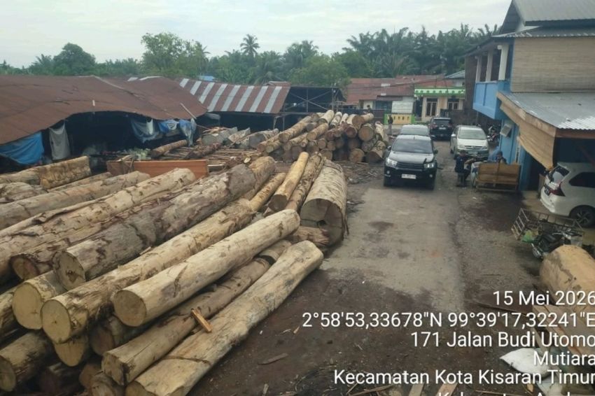 Gakkum Kehutanan Sita 1.677 Batang Kayu Ilegal di Asahan, 5 Perusahaan Pengolahan Jadi Tersangka