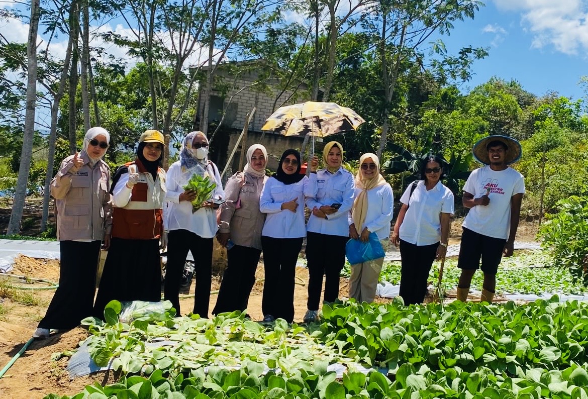 DPD Tani Merdeka Kendari dan Dinas Ketapang Sultra Uji Sampel Hidroponik UHO demi Sertifikasi Prima 3