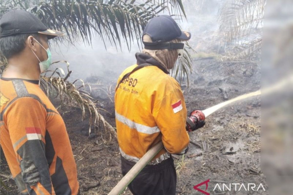 BPBD Muara Enim Kejar Pemadaman Karhutla Teluk Limau Hari Keenam, Air Diambil dari Sungai Batang Hari Sejauh 40 Km