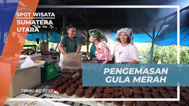 Proses Pengemasan Gula Merah di Sumatera Utara: Dari Cetakan Padat hingga Siap Jual ke Pasar