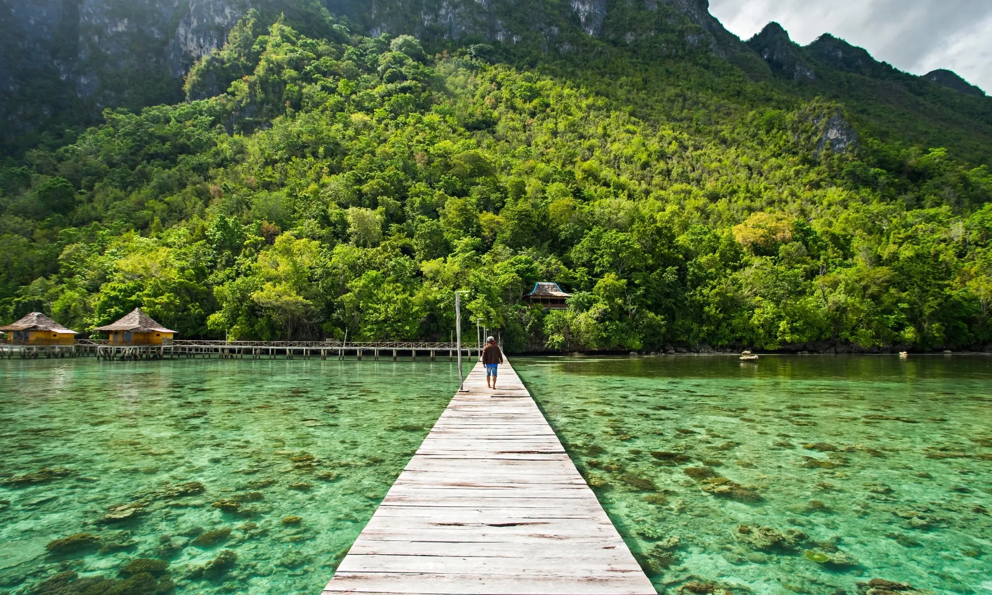 5 Pesona Pulau Seram di Maluku yang Jarang Terjamah Wisatawan, dari Birdwatching hingga Desa Terapung