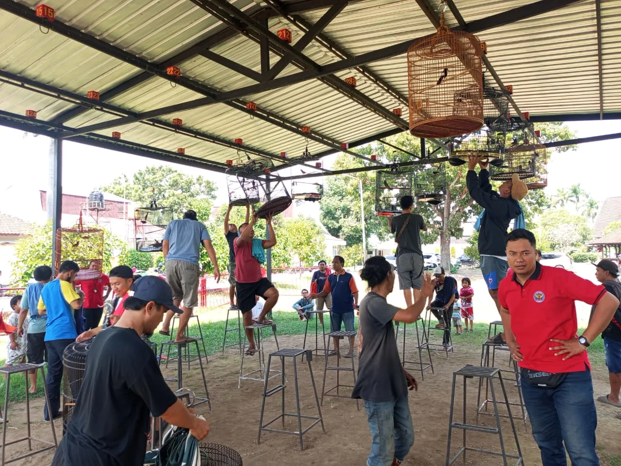 Bisnis Burung Kicau di Lombok Tembus Rp80 Juta per Ekor, Komunitas Jadi Pemicu Harga Melambung