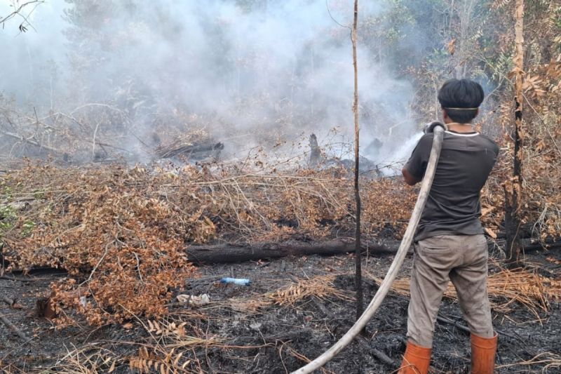 Tim Gabungan UPR Padamkan Kebakaran Lahan Gambut di Lingkungan Kampus, Gedung PPIIG dan Merah Putih Terlindungi