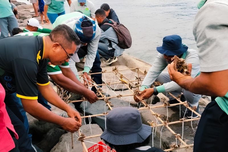 Kemenag Flores Timur Tanam 450 Fragmen Karang di Pantai Batumea, Perkuat Ekoteologi Lewat Konservasi Laut
