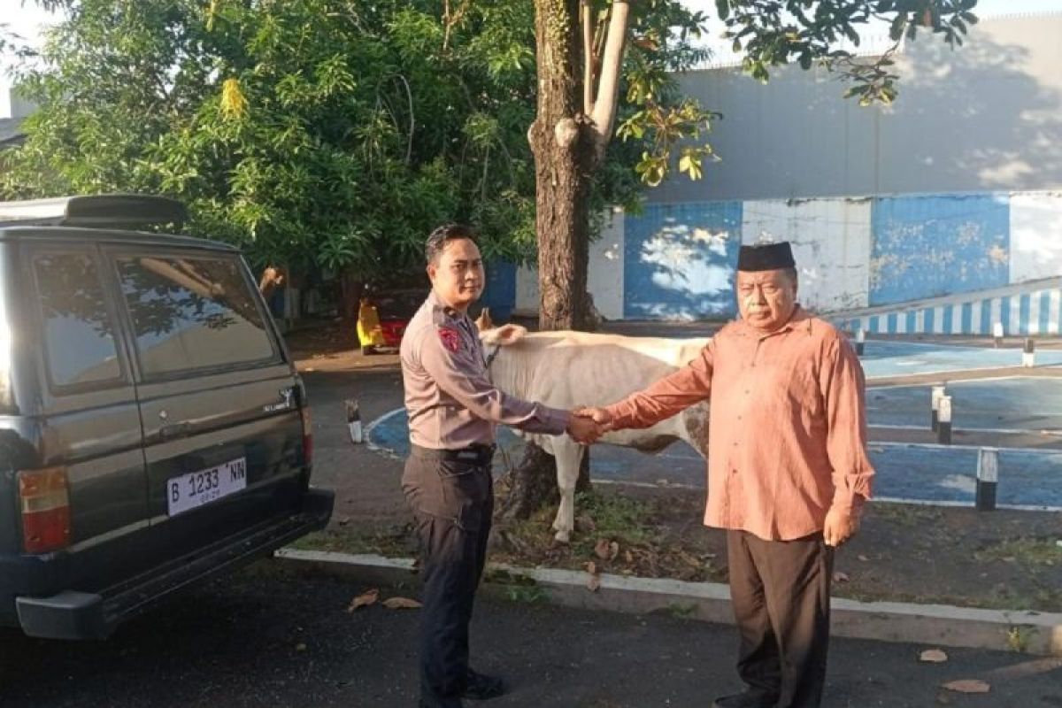 PB Jatma Aswaja Salurkan 80 Ekor Sapi Kurban dari Pekalongan hingga Lombok, Habib Luthfi Ingatkan Spirit Berbagi