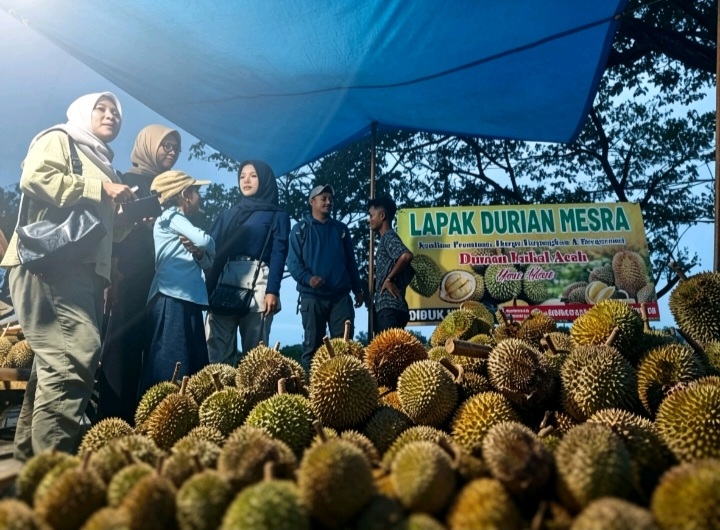 Musim Durian Tiba di Banda Aceh, Lapak Simpang Mesra Ramai Pembeli hingga 300 Buah Sehari