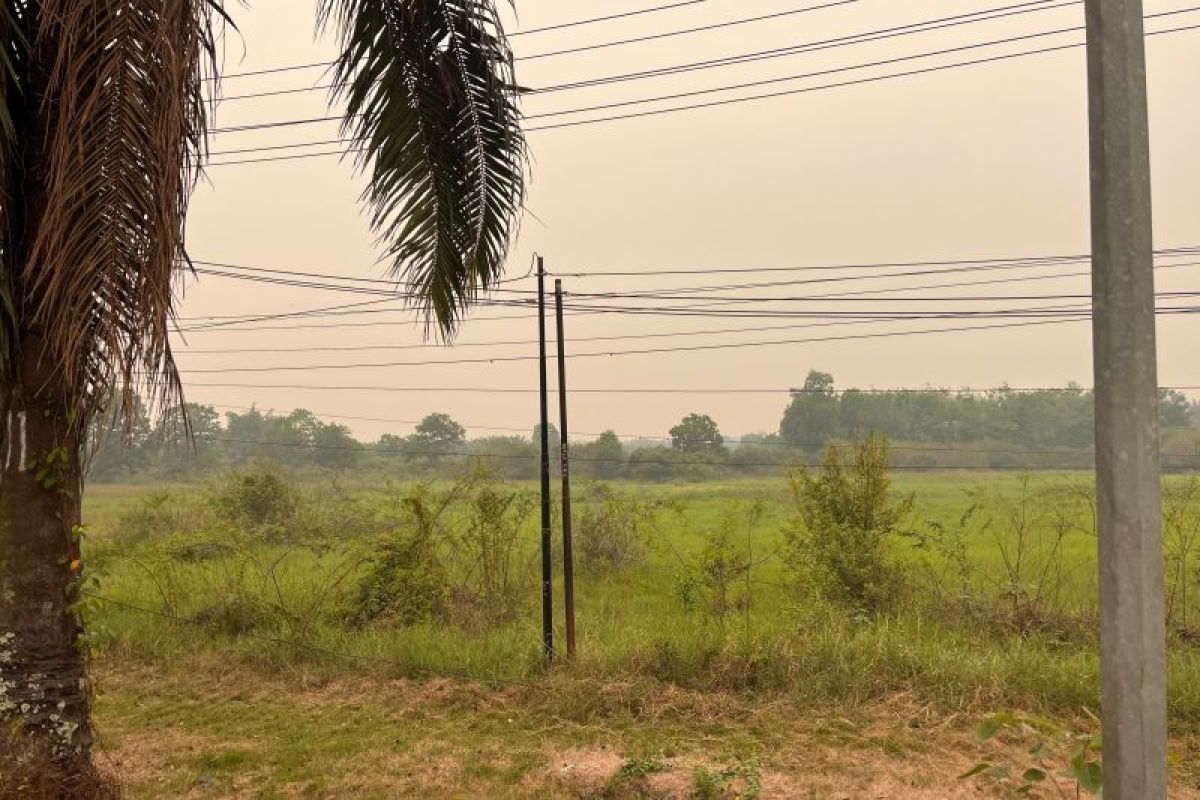 Kabut Asap Kembali Tebal di Batang Hari, Warga Muara Bulian Keluhkan Napas Sesak dan Pandangan Terbatas