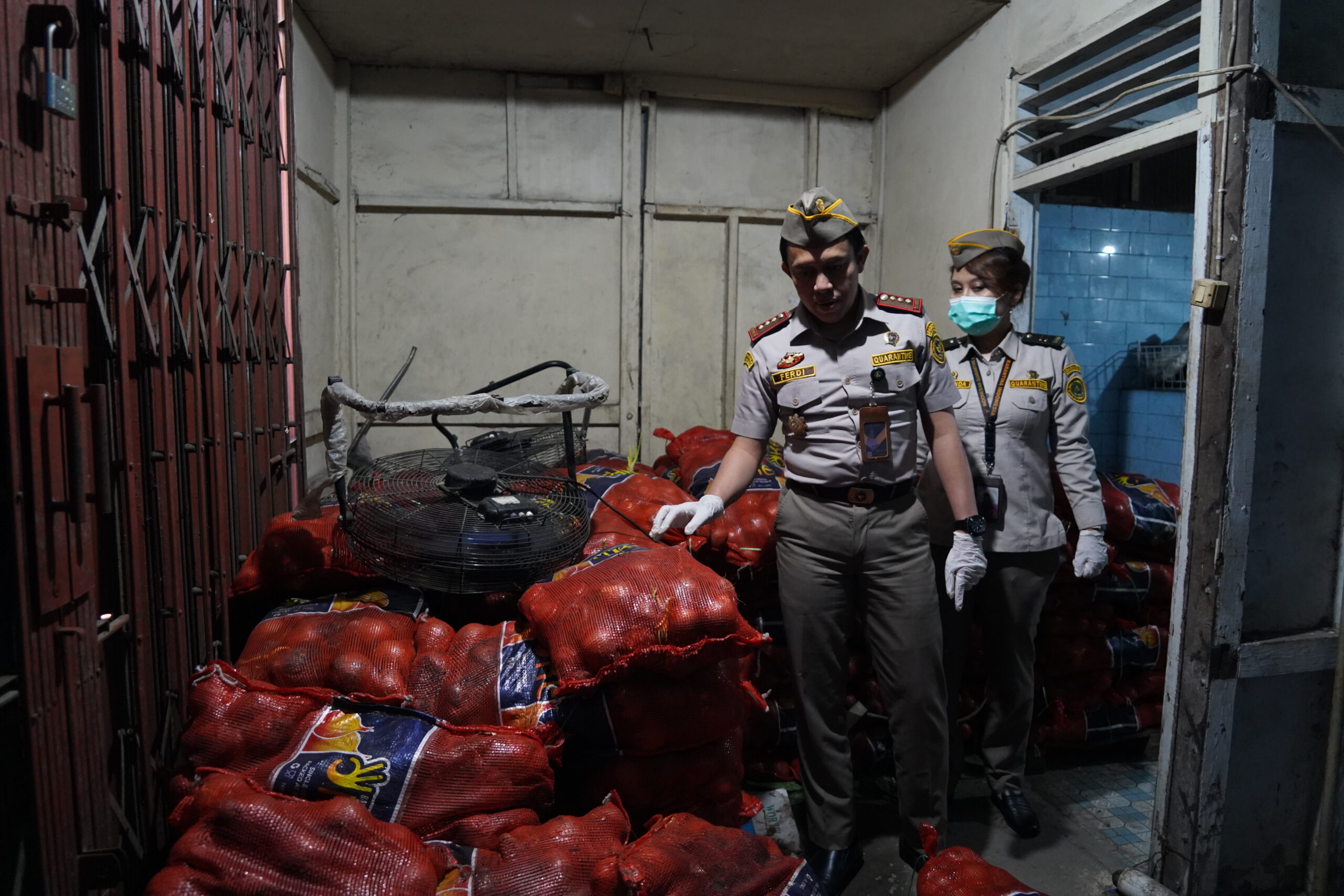 Barantin dan Polda Kalbar Sita 42 Ton Bawang Bombai-Kentang-Wortel Ilegal Asal Belanda dan Cina di Gudang Pontianak