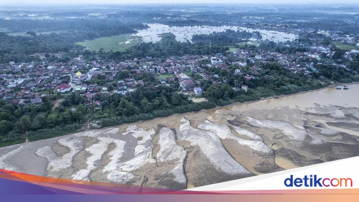 Debit Air Sungai Batanghari di Jambi Surut Drastis, Hamparan Pasir 5 Hektare Muncul di Kota Jambi