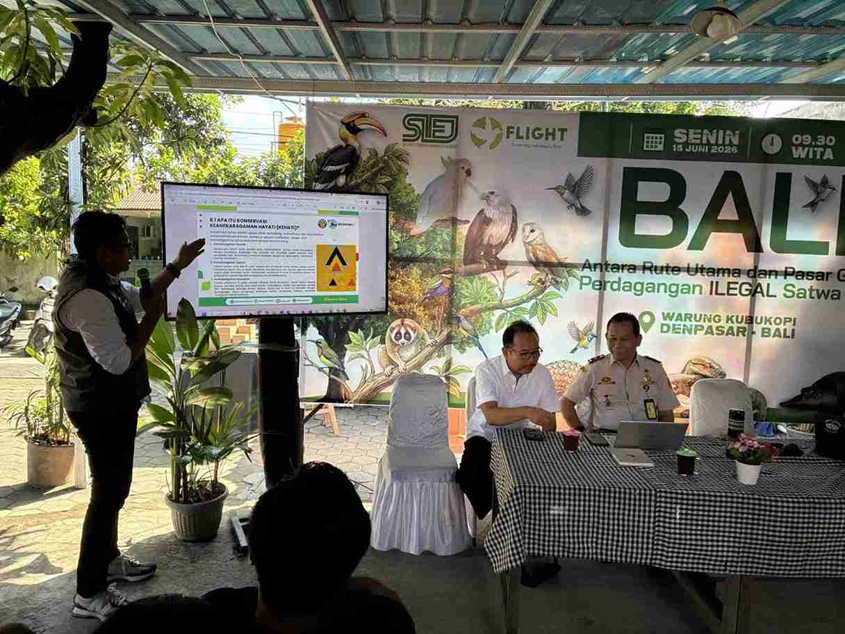 Bali Masih Jadi Jalur Utama Perdagangan Satwa Liar Ilegal, 128 Petugas Kewalahan Awasi Pelabuhan 24 Jam