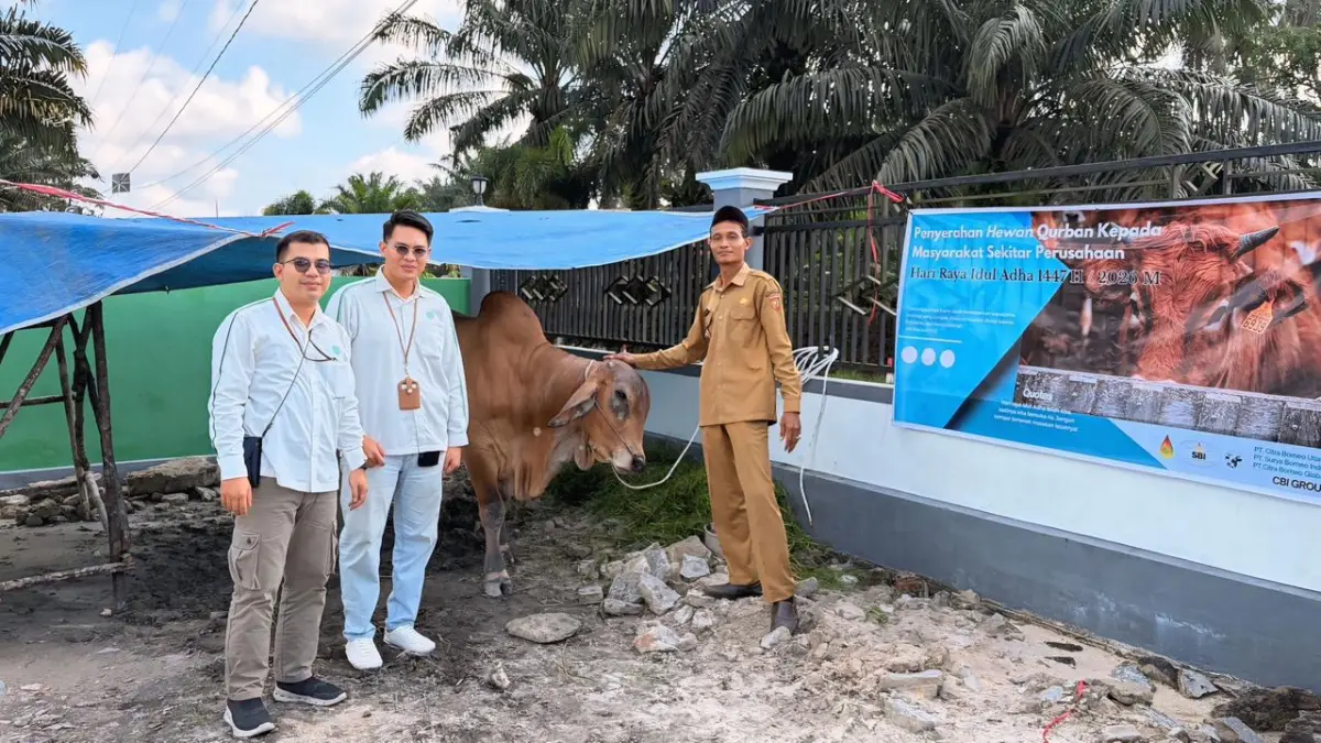 PT Citra Borneo Utama Tbk Salurkan 2 Ekor Sapi Kurban untuk Warga Sungai Tendang dan Natai Raya