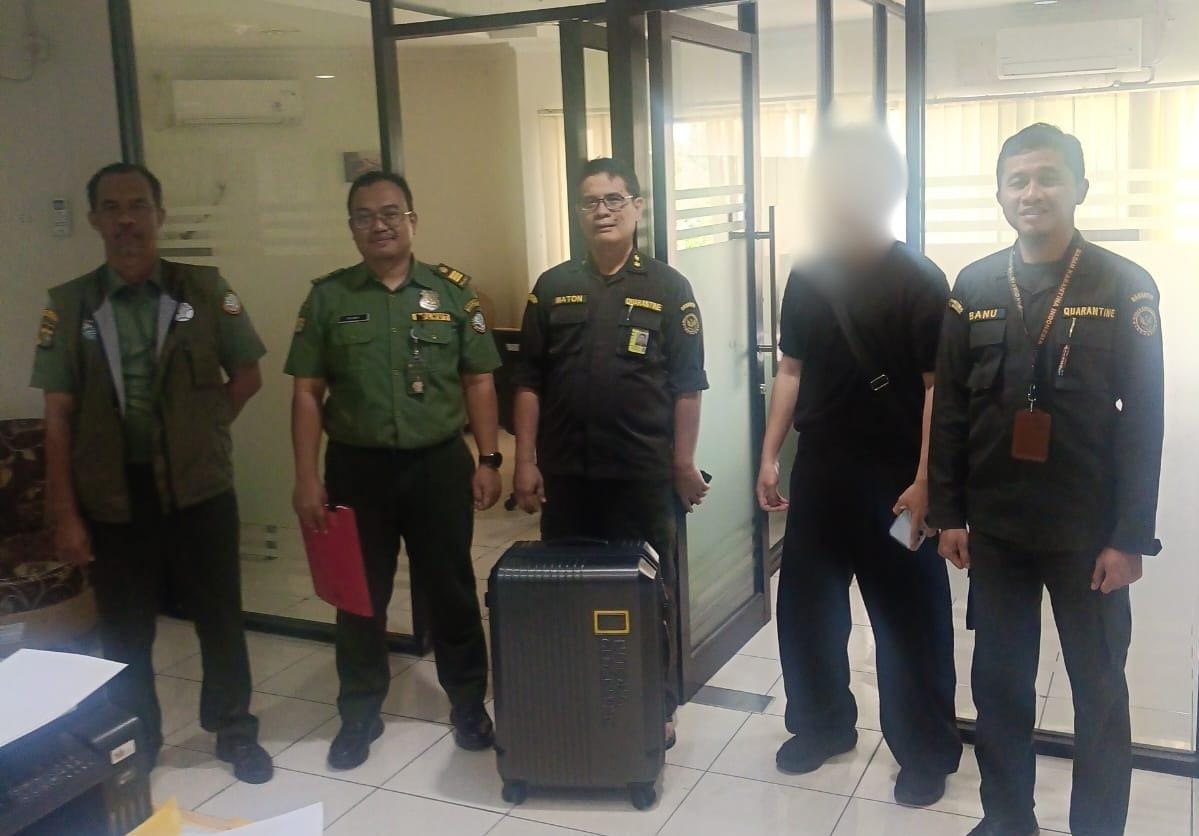 WN Korea Selatan Selundupkan 8 Biawak Hidup dalam Koper di Bandara Soekarno-Hatta, Enam di Antaranya Biawak Hijau Dilindungi