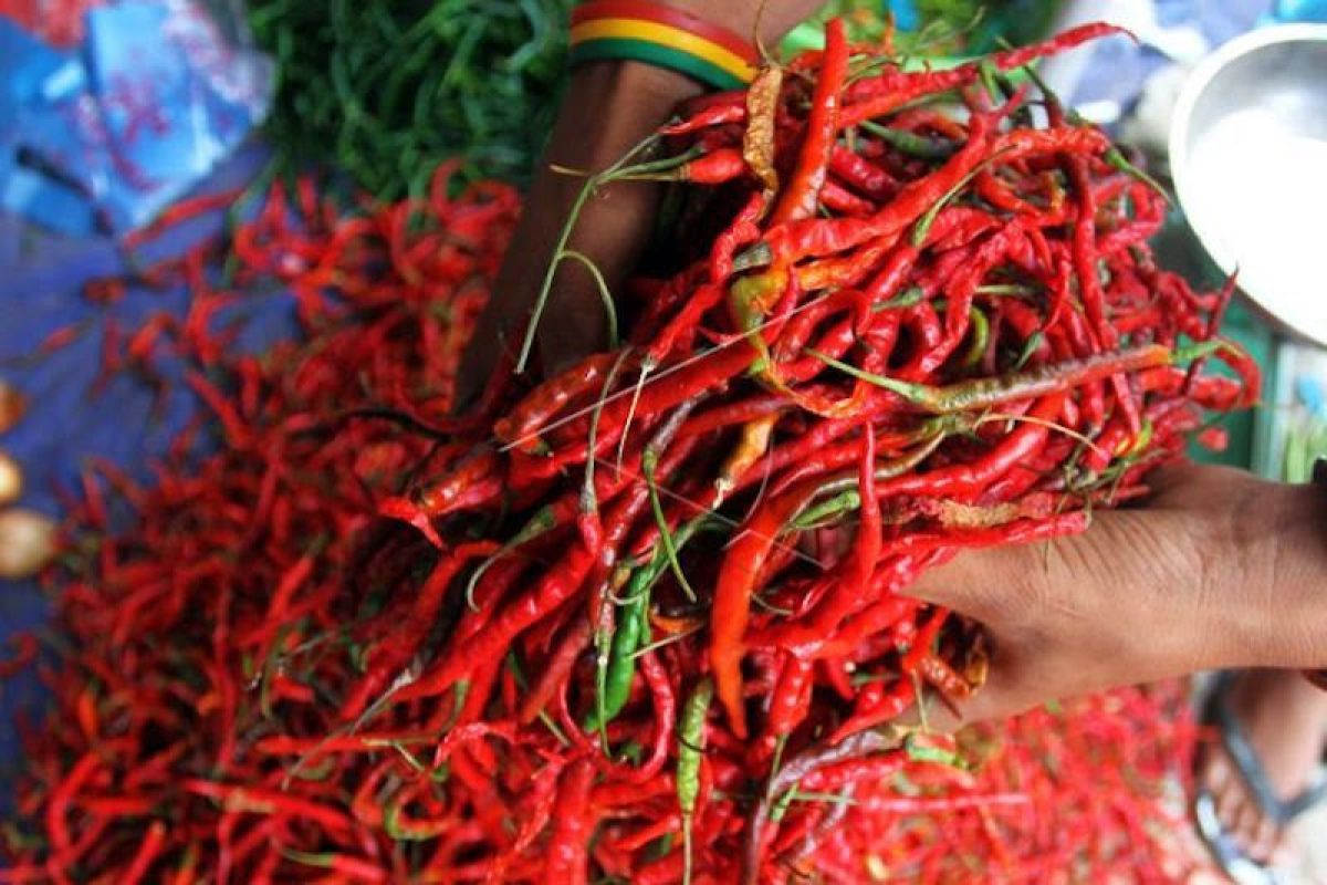 BPS Catat Sumsel Inflasi 0,21 Persen September 2026, Beras hingga Cabai Rawit Jadi Pendorong