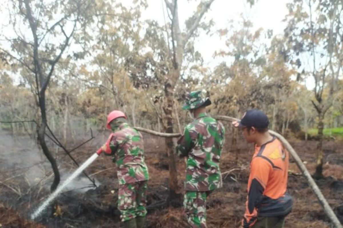19 Kecamatan di Muara Enim Rawan Karhutla, BPBD Siaga Darurat 123 Hari Mulai 1 Mei 2026