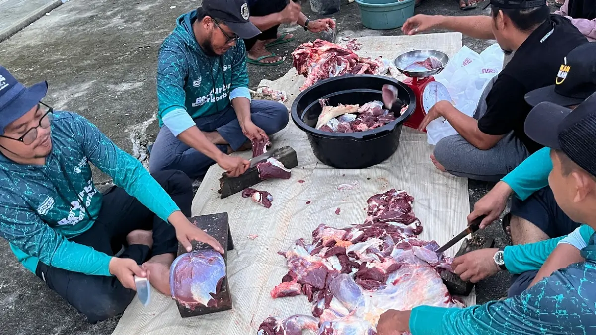Masjid Kapal Munzalan Kayong Utara Salurkan Hewan Kurban untuk Lebih dari 1.000 Penerima Manfaat