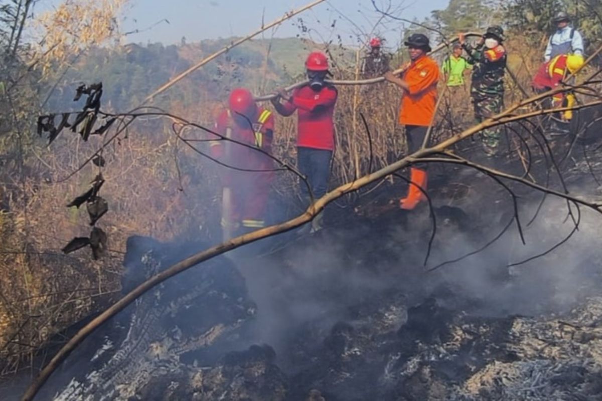 Tim Gabungan Gowa Padamkan Karhutla 6 Hektare di Malino, Sehari Tiga Kebakaran Lahan