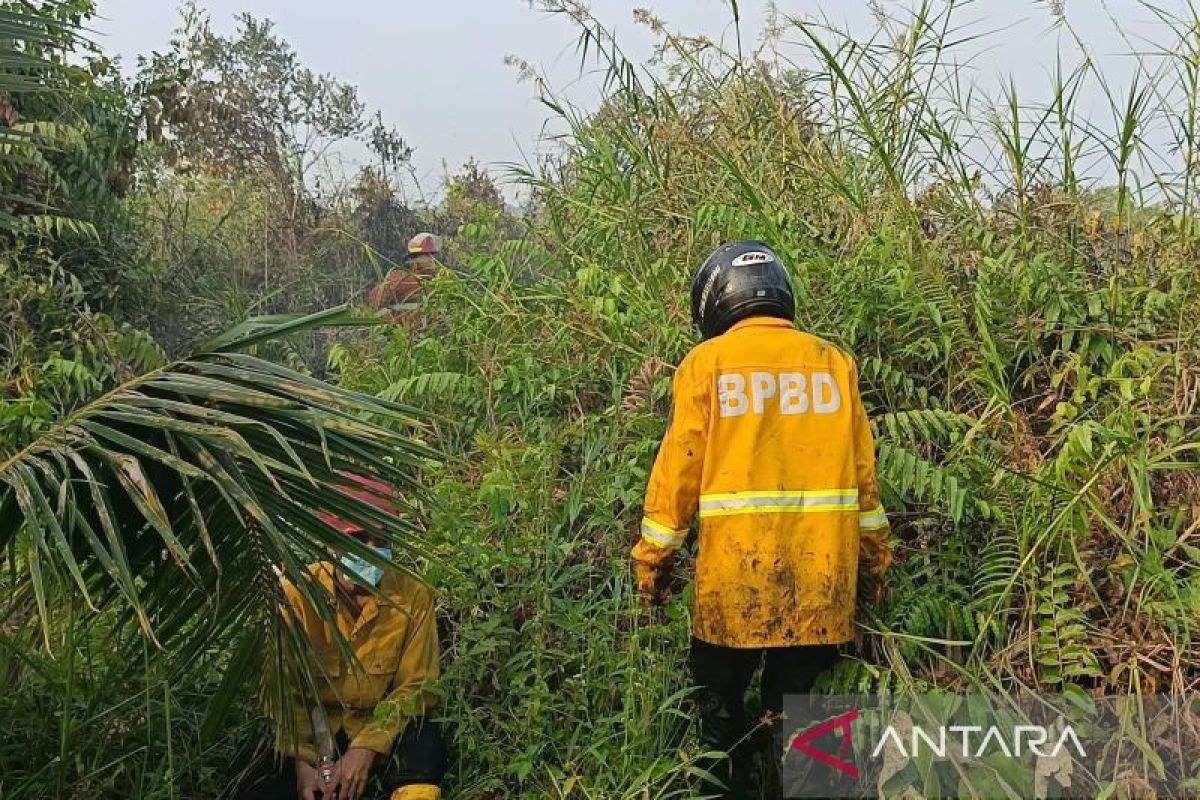 BPBD Kaltim Petakan Risiko Bencana 10 Kabupaten Kota, 12,90 Juta Hektare Masuk Kelas Bahaya Tinggi
