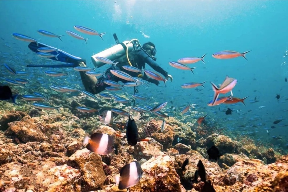 Wisatawan Ramai Coba Diving Pemula di Sabang, Paket Mulai Rp500 Ribu untuk Nikmati Terumbu Karang Iboih dan Pulau Rubiah