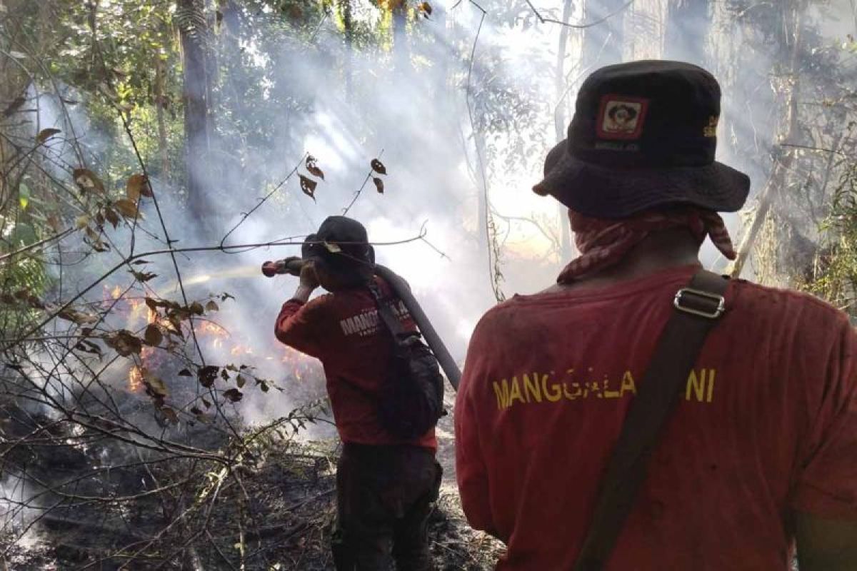 Tim Manggala Agni Padamkan Karhutla 10,5 Hektare di Aceh Selatan, Api Masih Sisakan Asap di Lahan Gambut