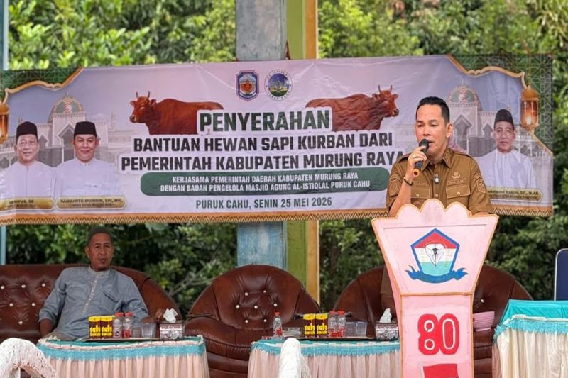 Pemkab Murung Raya Hibahkan 40 Ekor Sapi Kurban ke Masjid Agung Al-Istiqlal, Target Tekan Stunting
