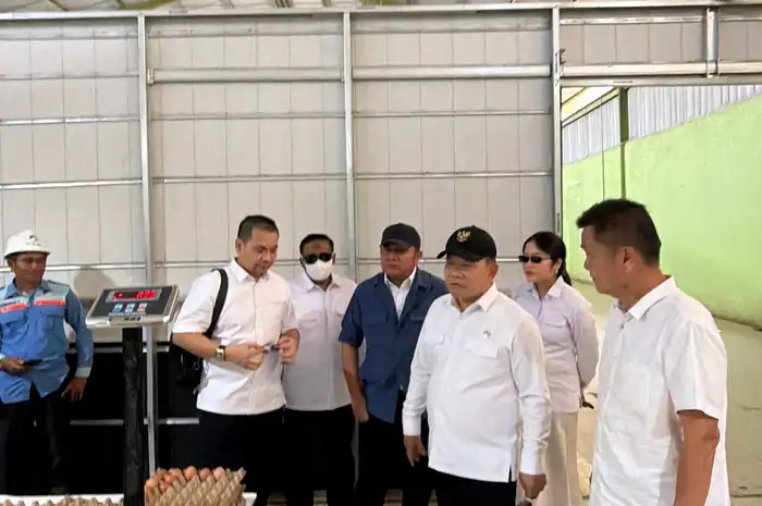 Gubernur Sumsel Tinjau Peternakan Telur di Banyuasin, Produksi 20 Ton Per Hari Siap Pasok Program MBG