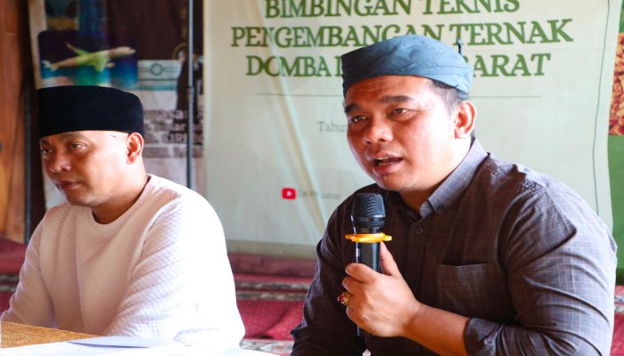 Komisi II DPRD Jabar Dorong Bimtek Pengembangan Domba di Cirebon, Targetkan Produktivitas Peternak Naik