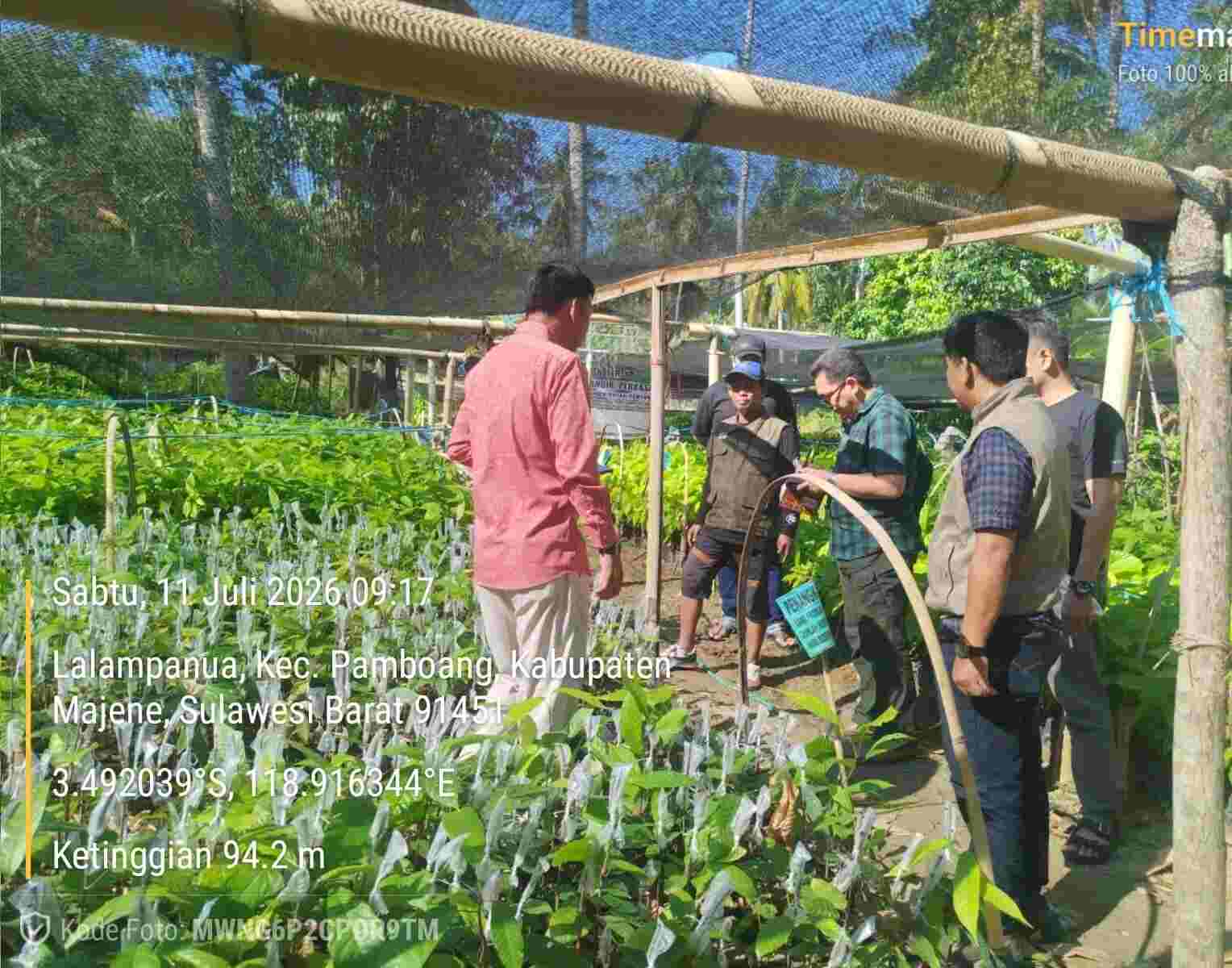 PPK Kementan RI Tinjau Penangkaran Kakao di Majene, Petani Binaan CV Mario Mandiri Perkasa Dinilai Siap Naik Kelas