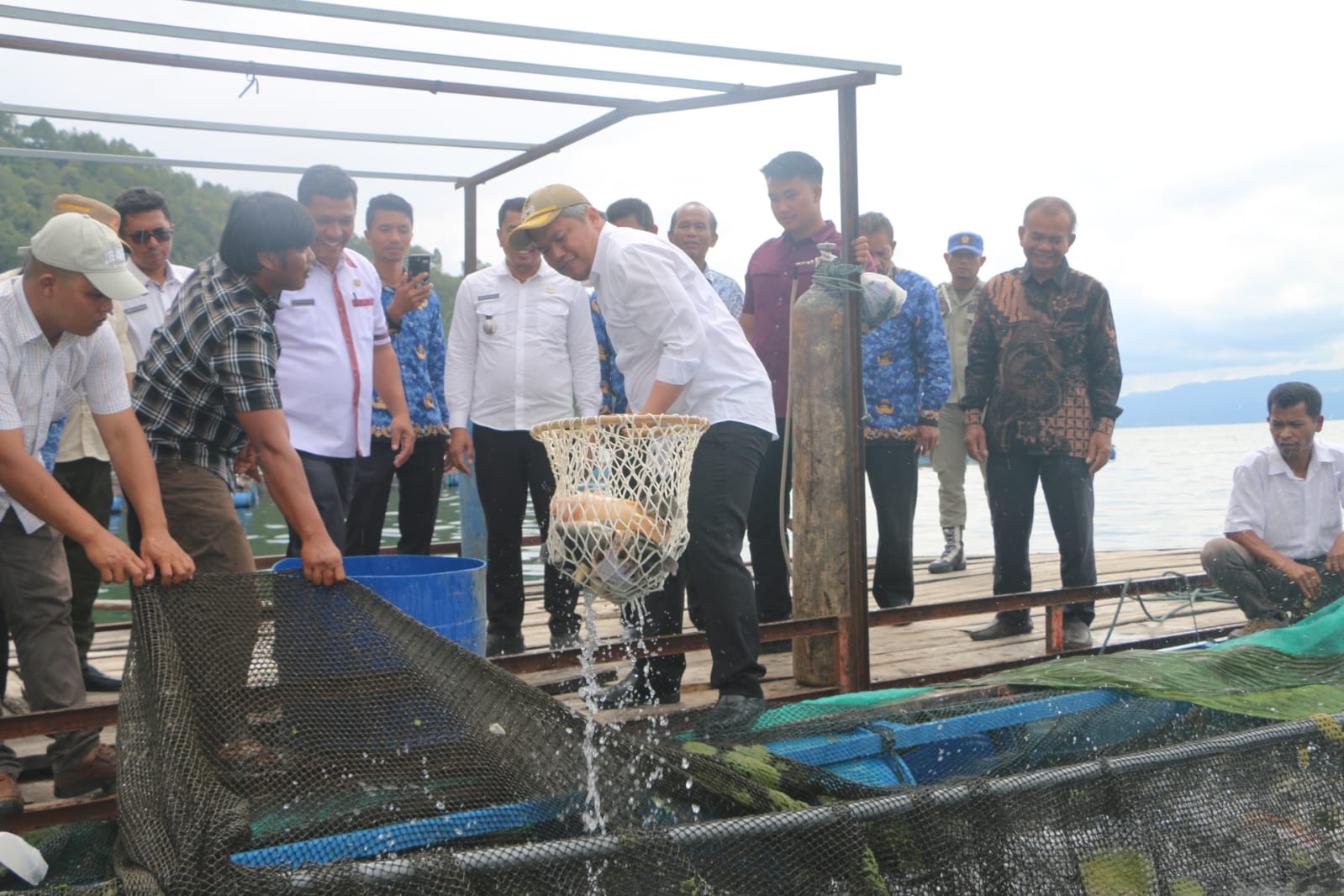 BUMDes Saurdot di Tapanuli Utara Panen 2,3 Ton Ikan Nila, Jadi Role Model Pengelolaan Dana Desa Produktif